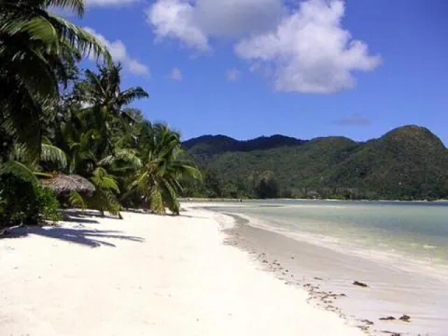 Indian Ocean Lodge photo 2