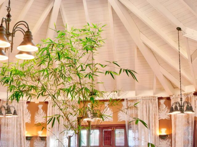 Gran Ventana Beach Resort photo 3