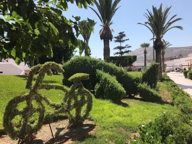 Al Moggar Garden Beach photo 2