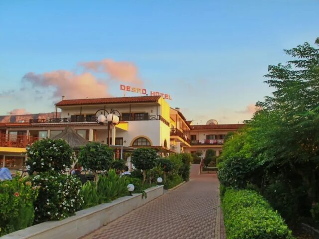 Despo photo 3