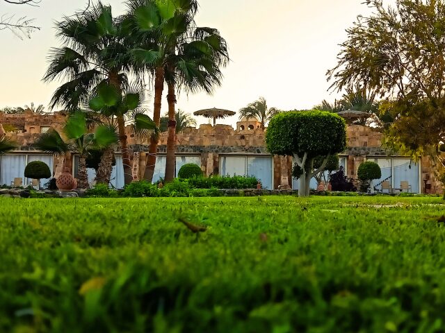Utopia Beach Club photo 2