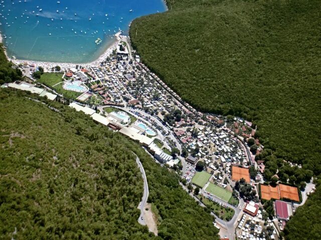 Oliva photo 1