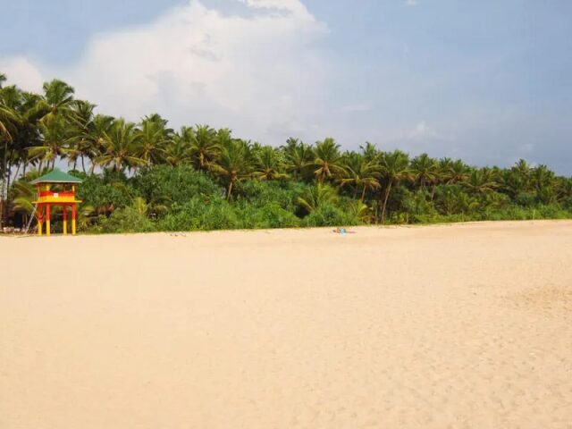 Club Bentota photo 3