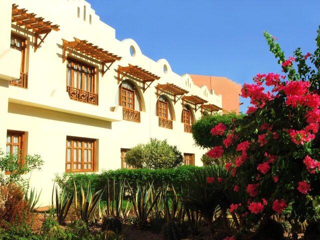 Tropitel Dahab Oasis photo 2