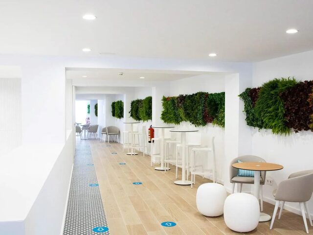 BLUESEA Mediodia photo 3