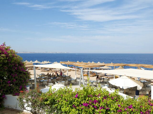 Amphoras Blu photo 1