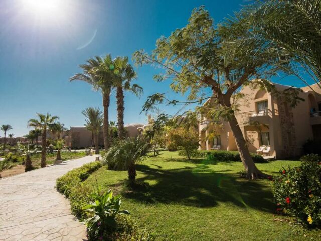 Shams Alam Beach Resort photo 0