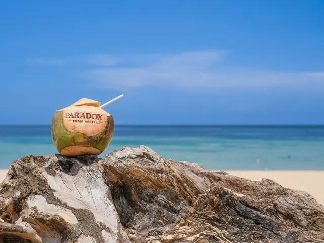 Paradox Resort Phuket photo 2