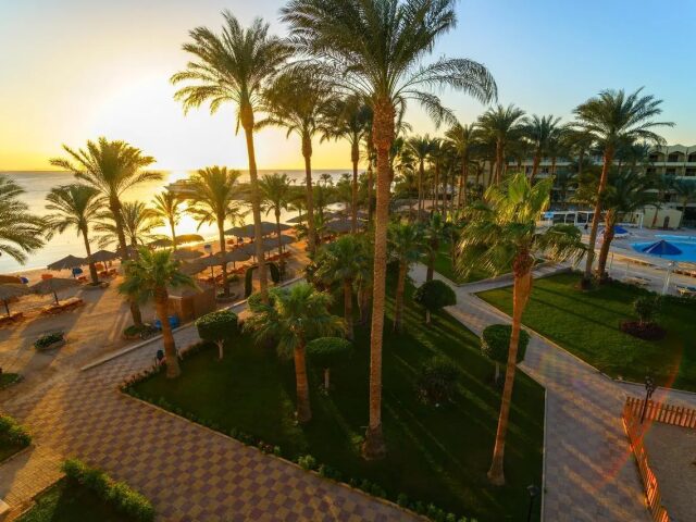 Le Pacha Resort photo 1
