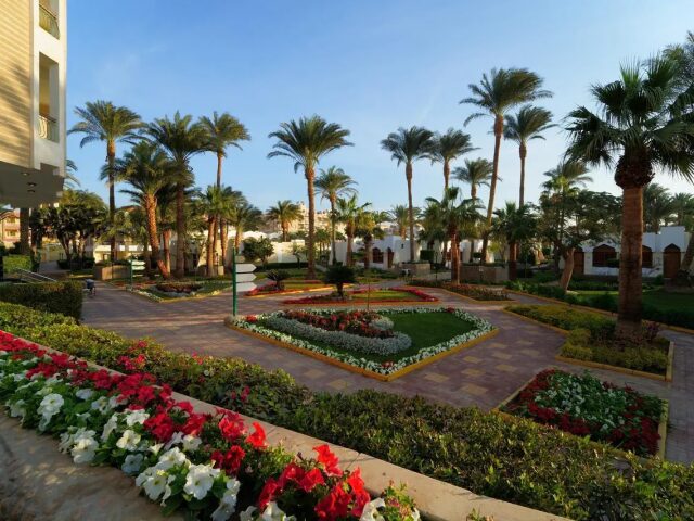 Le Pacha Resort photo 3