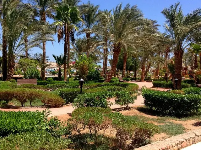 Giftun Azur Resort photo 3
