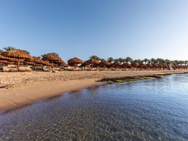 Sunrise Royal Makadi Aqua Resort photo 3