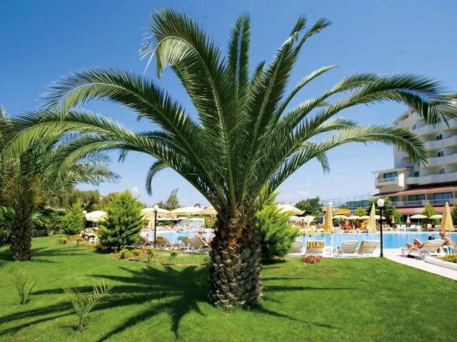 Febeach photo 2
