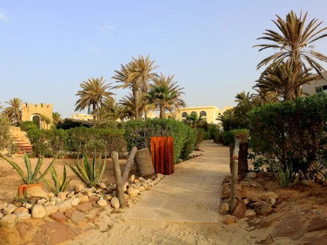 Djerba Castille photo 2
