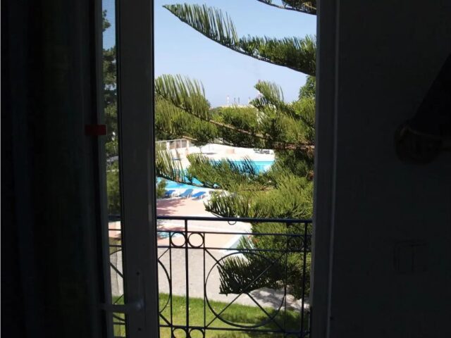 Summer Dream photo 2
