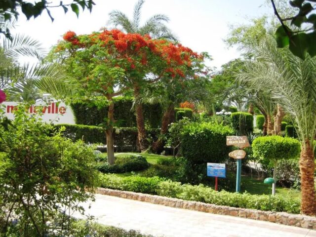 Menaville Resort Safaga