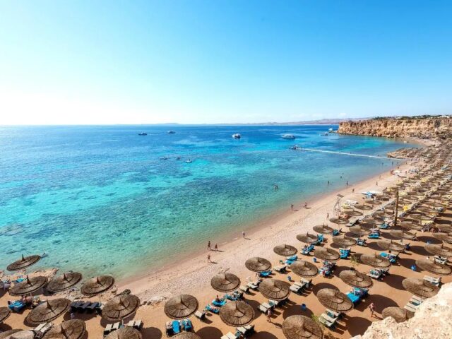 Sentido Reef Oasis Senses Resort photo 0