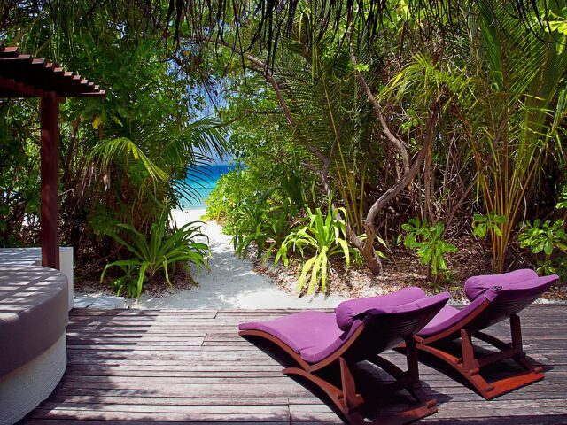 Coco Bodu Hithi photo 2