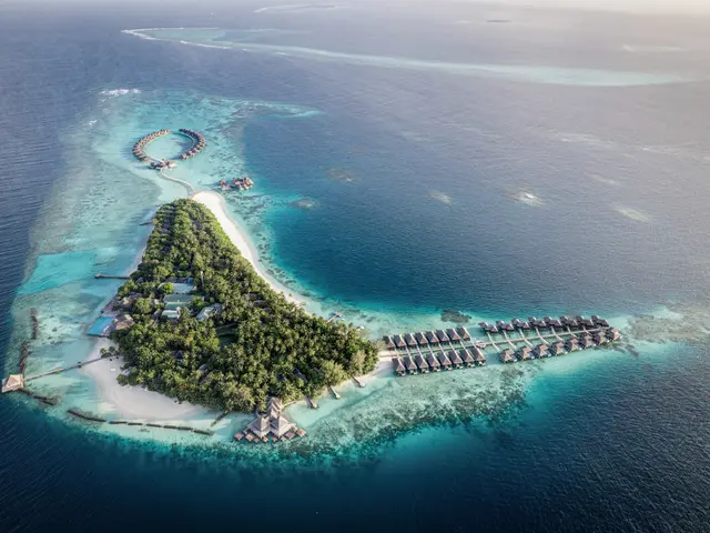 Coco Bodu Hithi photo 1