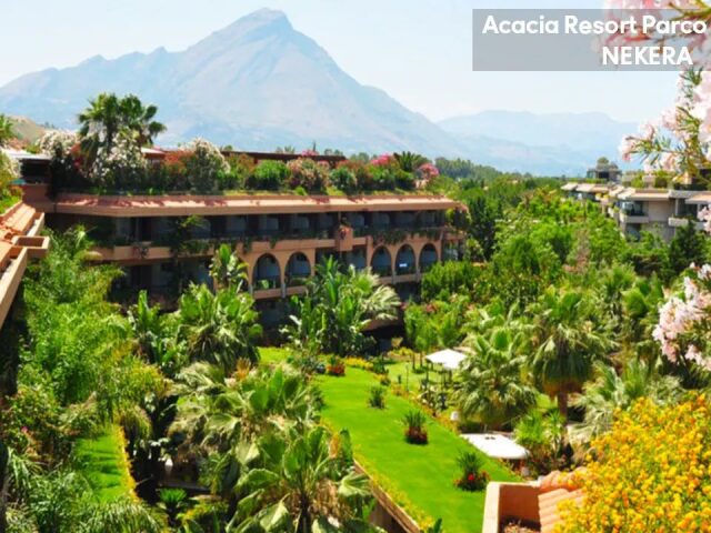 Acacia Resort photo 0