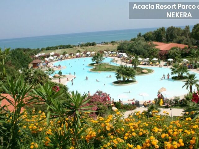 Acacia Resort photo 3