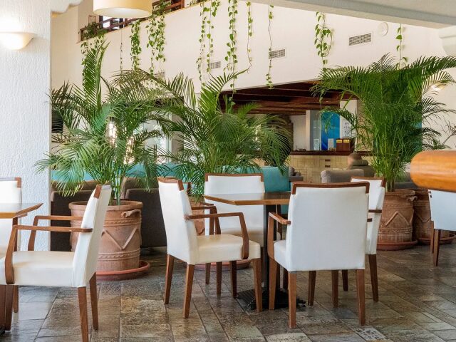 Paphos Gardens Holiday Resort photo 1