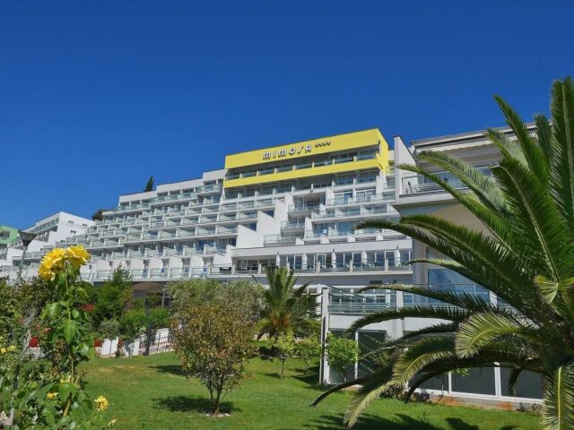 Mimosa - Lido Palace photo 0