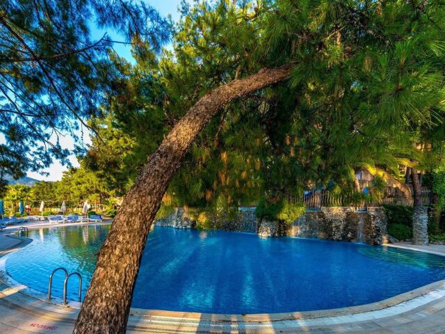 Grand Yazici Club Marmaris Palace photo 2