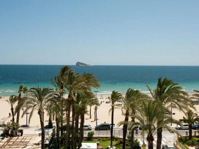 El Palmeral photo 2