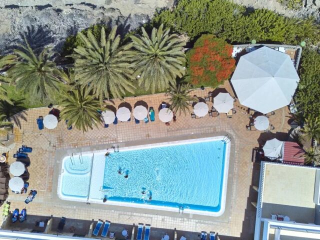 Chatur Palmera Mar photo 2