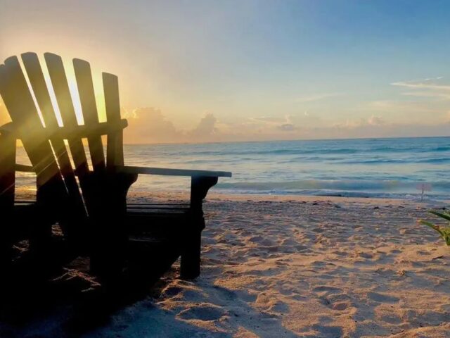 Akumal Bay Beach & Wellness Resort photo 3