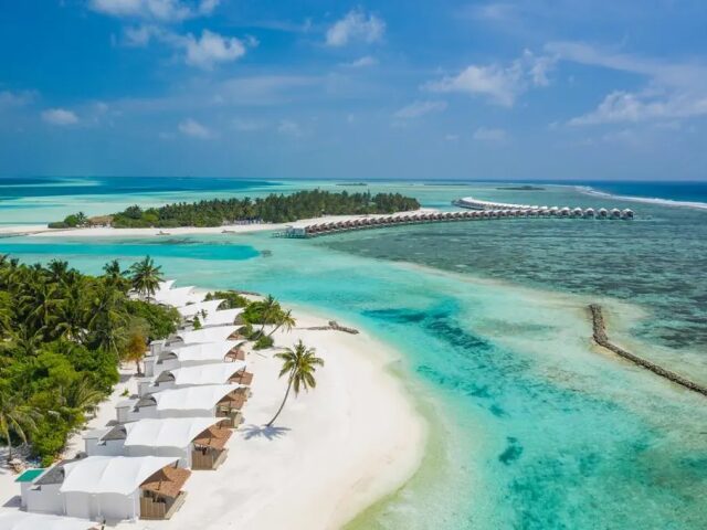 Cinnamon Hakura Huraa photo 1