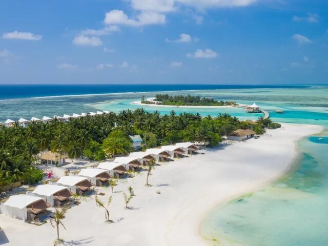 Cinnamon Hakura Huraa photo 0