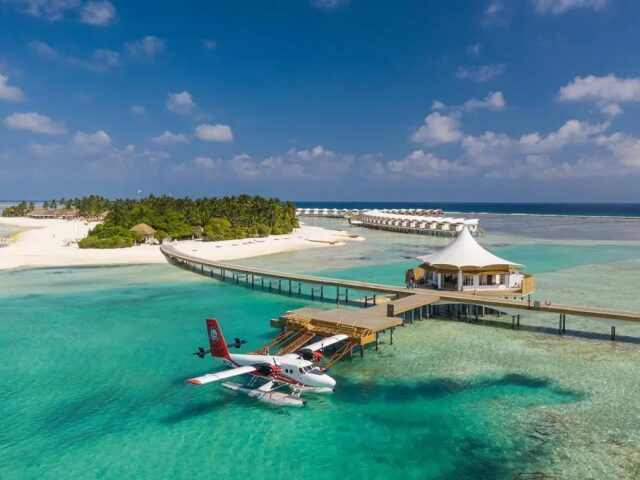 Cinnamon Hakura Huraa photo 2