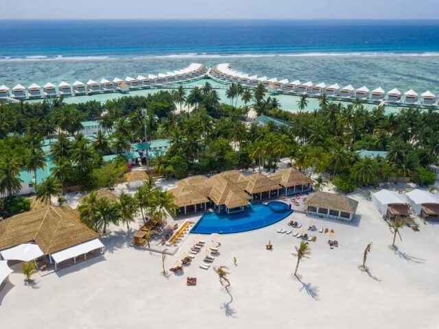 Cinnamon Hakura Huraa photo 3