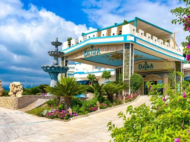 Daima Biz photo 2