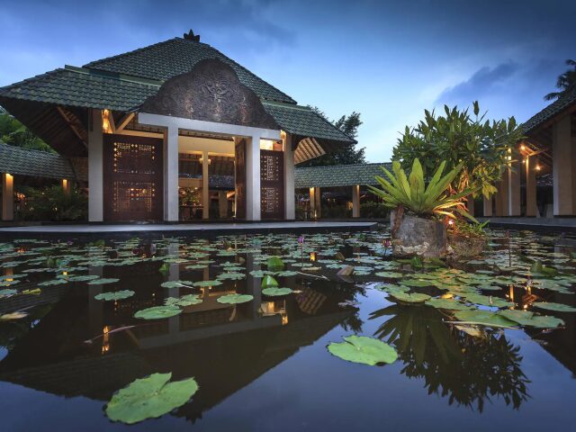 The Palms