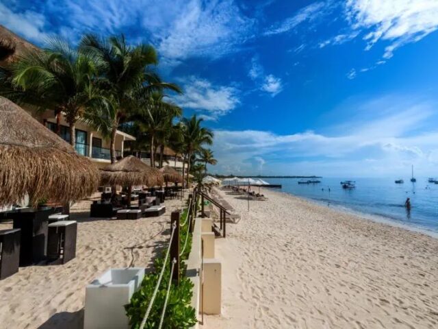 The Reef Coco Beach photo 0