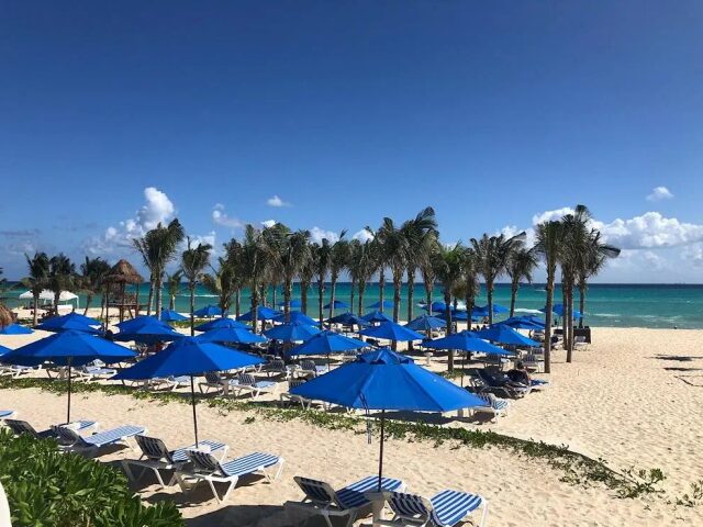 The Reef Playacar Resort & Spa photo 0