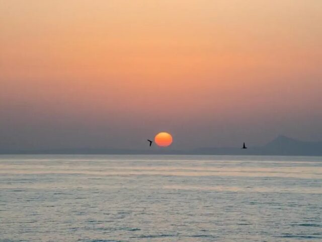Thalassi photo 3