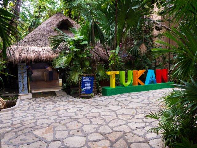 Tukan Playa del Carmen photo 0