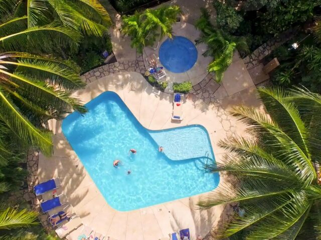 Tukan Playa del Carmen