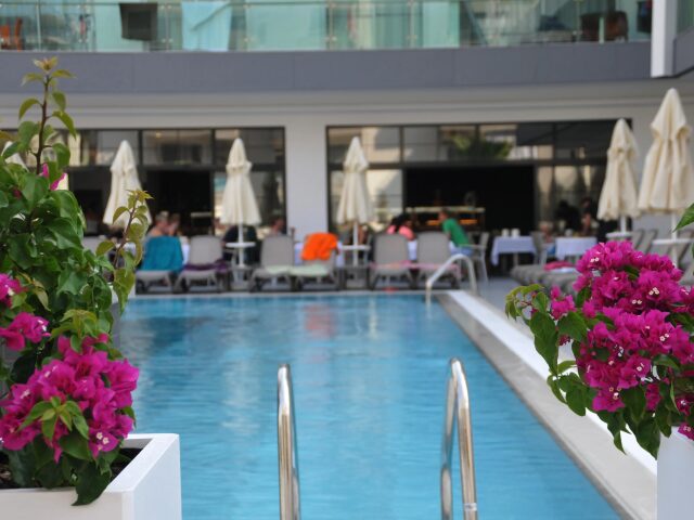 Green Garden Suite photo 1