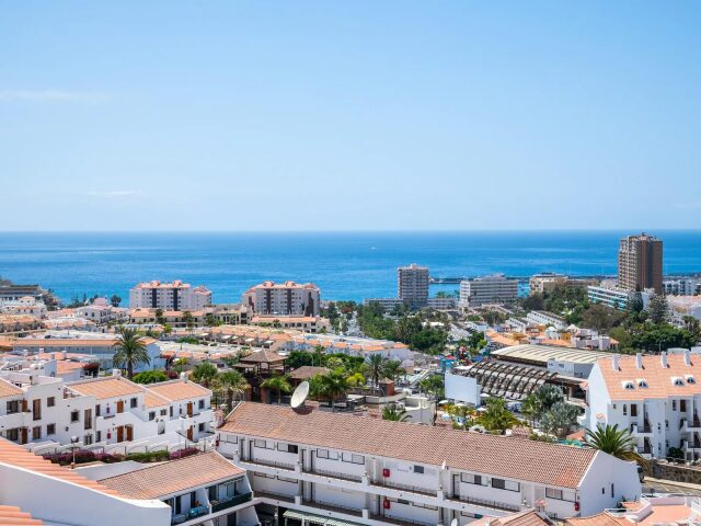 Club Tenerife photo 1