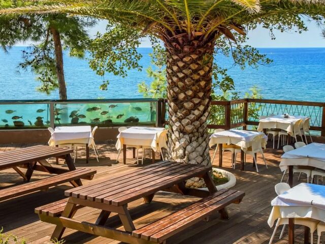 Sentido Alexandra Beach Resort photo 3