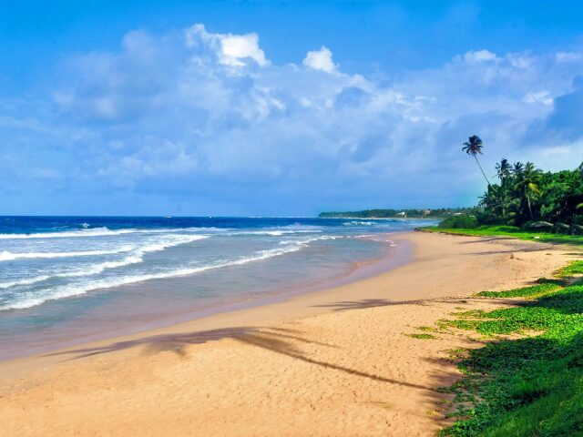 The Beach Cabanas Retreat & Spa photo 0