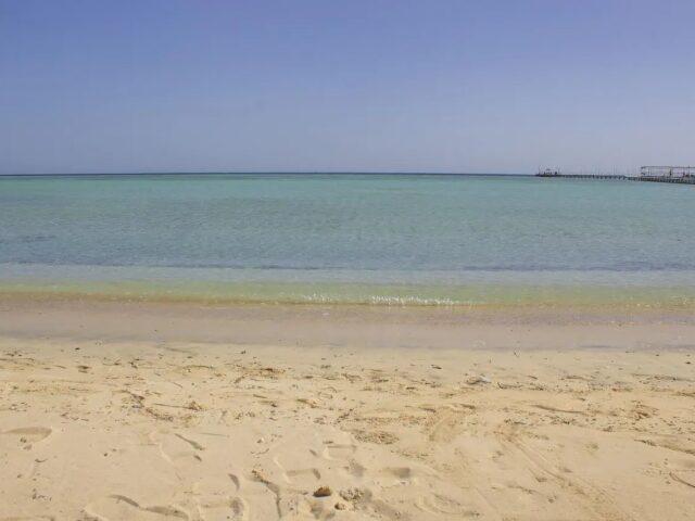 Protels Beach Club & SPA photo 3