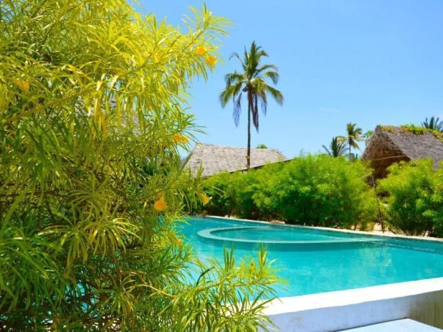 New Jambo Bungalows photo 3