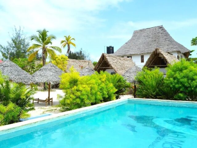 New Jambo Bungalows photo 2