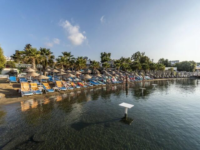 Coconut Beach photo 3